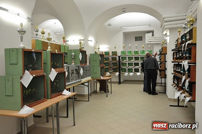 Zdjęcie w galerii na portalu naszraciborz.pl: Labirynt - jak dziś wygląda miejsce, w którym koncentrowało się dawniej życie kulturalne i nocne Raciborza wiadomości z regionu