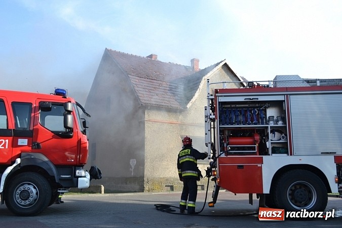 Zdjęcie w galerii na portalu naszraciborz.pl: Pożar pustostanu obok Lidla wiadomości z regionu