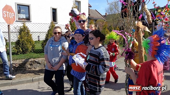 Zdjęcie w galerii na portalu naszraciborz.pl: Kolorowy tydzień i powitanie wiosny w Wojnowicach wiadomości z regionu