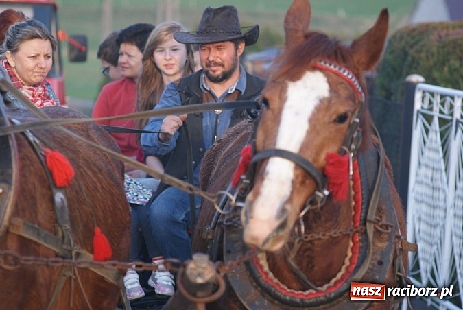 Zdjęcie w galerii na portalu naszraciborz.pl: Poszukiwania wiosny zakończone sukcesem wiadomości z regionu