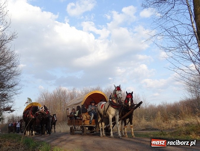 Zdjęcie w galerii na portalu naszraciborz.pl: Poszukiwania wiosny zakończone sukcesem wiadomości z regionu