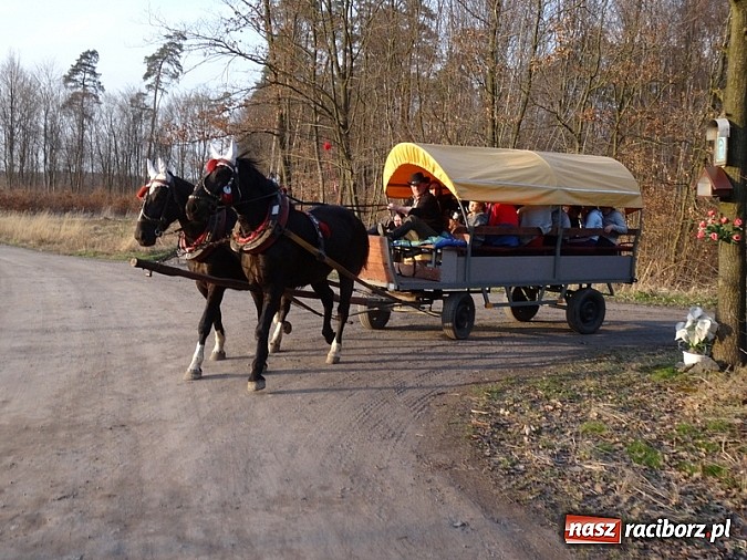 Zdjęcie w galerii na portalu naszraciborz.pl: Poszukiwania wiosny zakończone sukcesem wiadomości z regionu