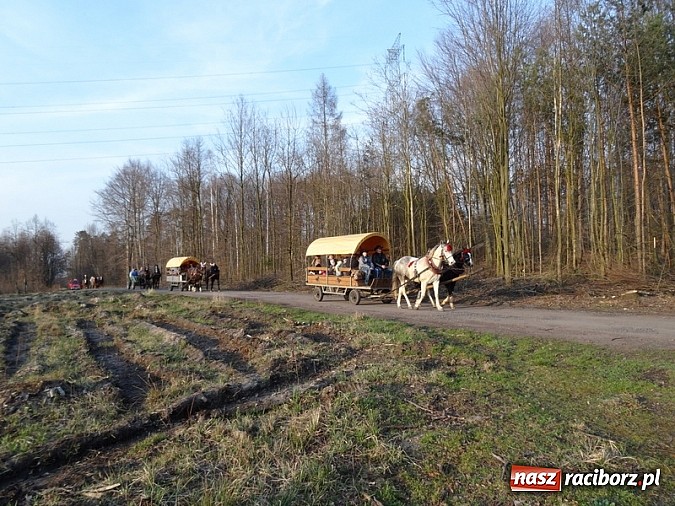 Zdjęcie w galerii na portalu naszraciborz.pl: Poszukiwania wiosny zakończone sukcesem wiadomości z regionu