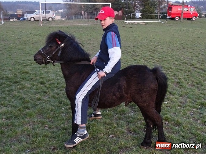 Zdjęcie w galerii na portalu naszraciborz.pl: Poszukiwania wiosny zakończone sukcesem wiadomości z regionu
