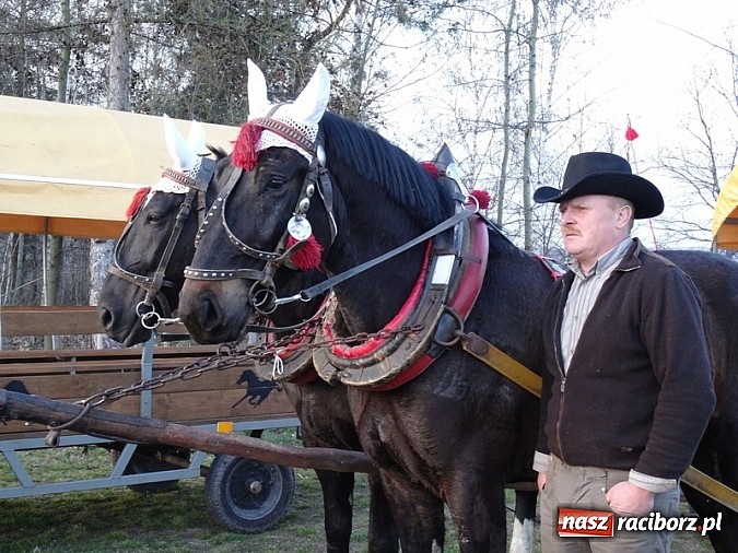 Zdjęcie w galerii na portalu naszraciborz.pl: Poszukiwania wiosny zakończone sukcesem wiadomości z regionu