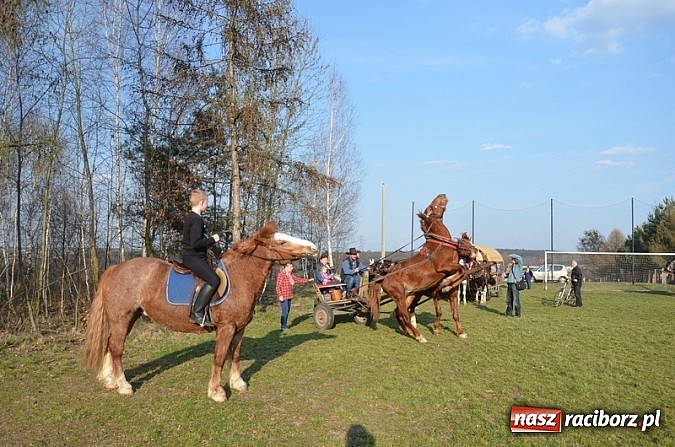 Zdjęcie w galerii na portalu naszraciborz.pl: Poszukiwania wiosny zakończone sukcesem wiadomości z regionu