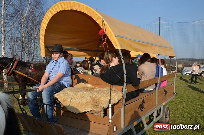 Zdjęcie w galerii na portalu naszraciborz.pl: Poszukiwania wiosny zakończone sukcesem wiadomości z regionu