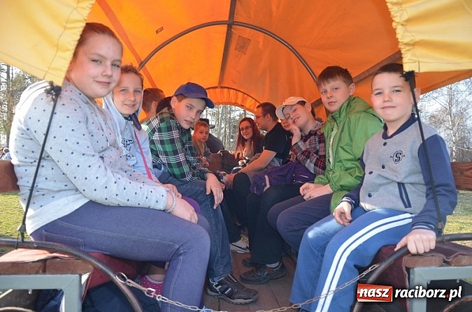 Zdjęcie w galerii na portalu naszraciborz.pl: Poszukiwania wiosny zakończone sukcesem wiadomości z regionu