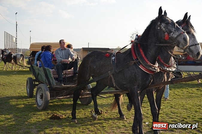 Zdjęcie w galerii na portalu naszraciborz.pl: Poszukiwania wiosny zakończone sukcesem wiadomości z regionu