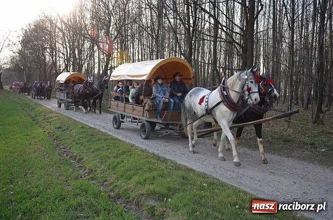 Zdjęcie w galerii na portalu naszraciborz.pl: Poszukiwania wiosny zakończone sukcesem wiadomości z regionu