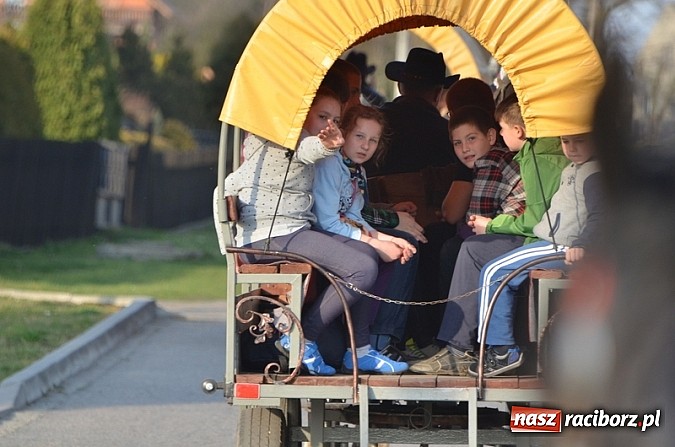 Zdjęcie w galerii na portalu naszraciborz.pl: Poszukiwania wiosny zakończone sukcesem wiadomości z regionu