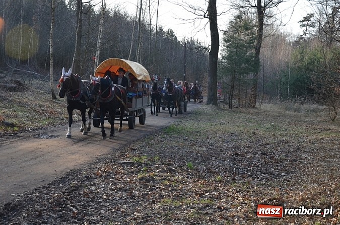 Zdjęcie w galerii na portalu naszraciborz.pl: Poszukiwania wiosny zakończone sukcesem wiadomości z regionu