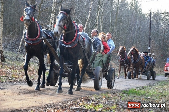 Zdjęcie w galerii na portalu naszraciborz.pl: Poszukiwania wiosny zakończone sukcesem wiadomości z regionu