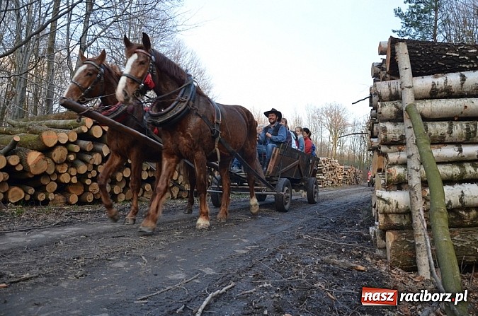 Zdjęcie w galerii na portalu naszraciborz.pl: Poszukiwania wiosny zakończone sukcesem wiadomości z regionu