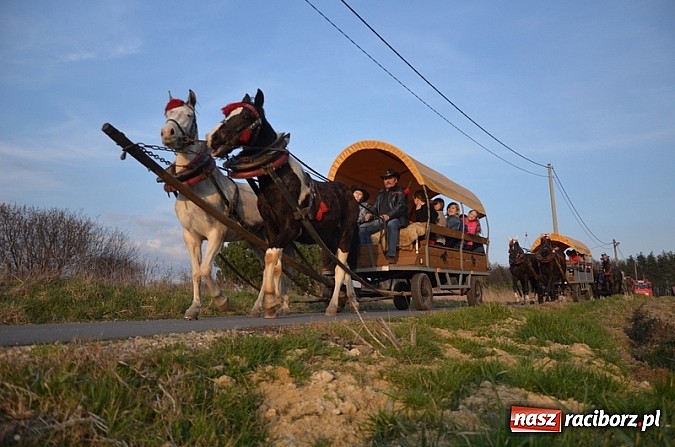 Zdjęcie w galerii na portalu naszraciborz.pl: Poszukiwania wiosny zakończone sukcesem wiadomości z regionu