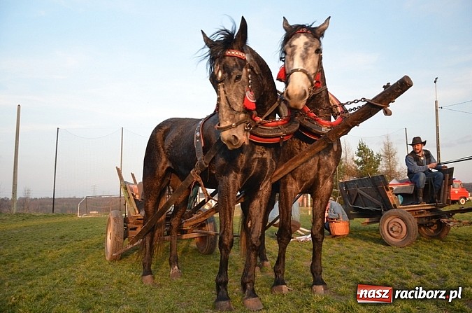 Zdjęcie w galerii na portalu naszraciborz.pl: Poszukiwania wiosny zakończone sukcesem wiadomości z regionu
