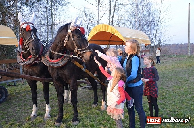 Zdjęcie w galerii na portalu naszraciborz.pl: Poszukiwania wiosny zakończone sukcesem wiadomości z regionu