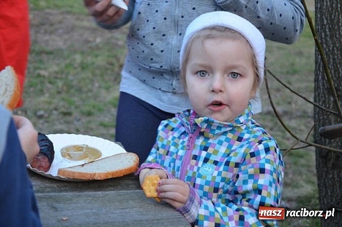 Zdjęcie w galerii na portalu naszraciborz.pl: Poszukiwania wiosny zakończone sukcesem wiadomości z regionu
