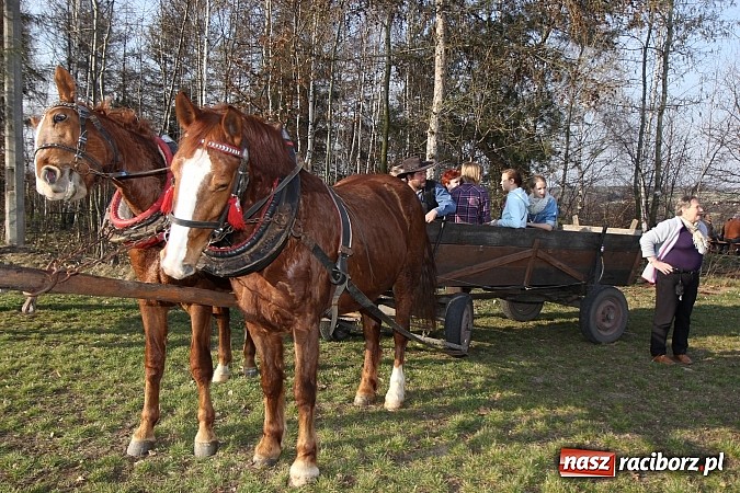 Zdjęcie w galerii na portalu naszraciborz.pl: Poszukiwania wiosny zakończone sukcesem wiadomości z regionu