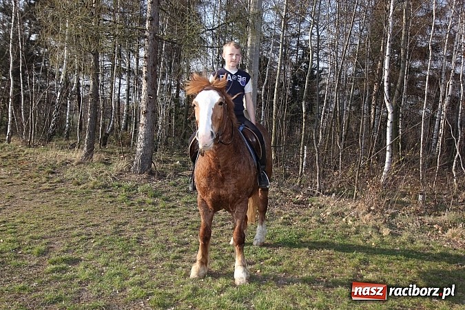 Zdjęcie w galerii na portalu naszraciborz.pl: Poszukiwania wiosny zakończone sukcesem wiadomości z regionu