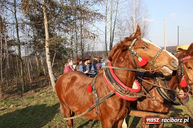 Zdjęcie w galerii na portalu naszraciborz.pl: Poszukiwania wiosny zakończone sukcesem wiadomości z regionu