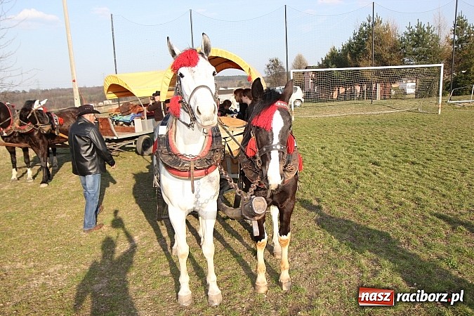 Zdjęcie w galerii na portalu naszraciborz.pl: Poszukiwania wiosny zakończone sukcesem wiadomości z regionu