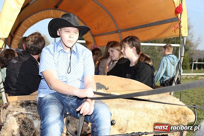 Zdjęcie w galerii na portalu naszraciborz.pl: Poszukiwania wiosny zakończone sukcesem wiadomości z regionu