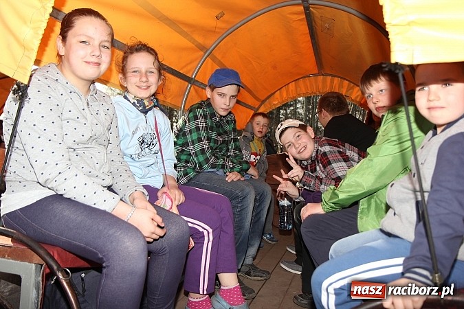 Zdjęcie w galerii na portalu naszraciborz.pl: Poszukiwania wiosny zakończone sukcesem wiadomości z regionu