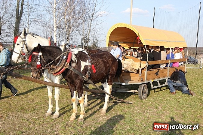 Zdjęcie w galerii na portalu naszraciborz.pl: Poszukiwania wiosny zakończone sukcesem wiadomości z regionu