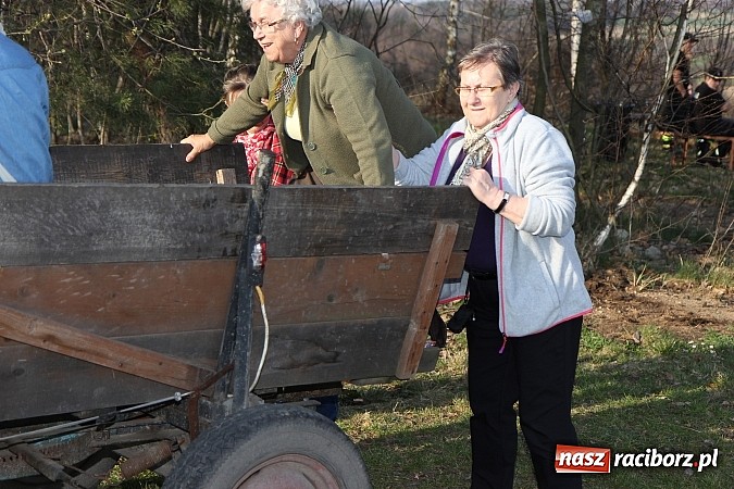 Zdjęcie w galerii na portalu naszraciborz.pl: Poszukiwania wiosny zakończone sukcesem wiadomości z regionu