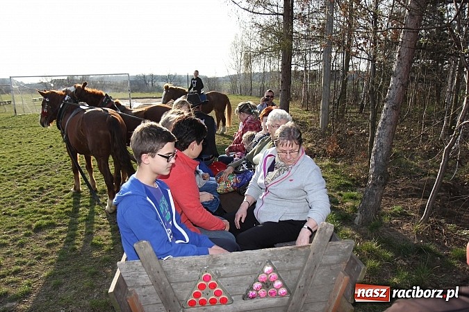 Zdjęcie w galerii na portalu naszraciborz.pl: Poszukiwania wiosny zakończone sukcesem wiadomości z regionu