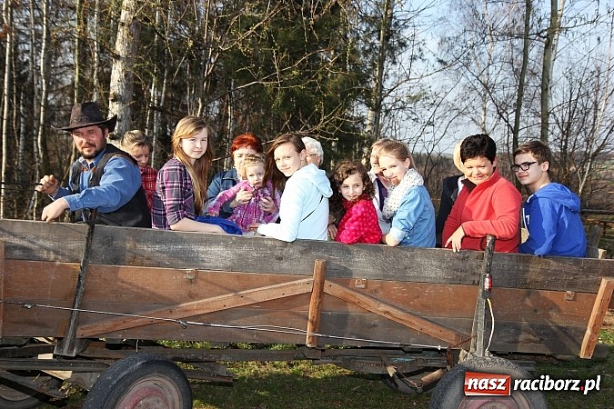 Zdjęcie w galerii na portalu naszraciborz.pl: Poszukiwania wiosny zakończone sukcesem wiadomości z regionu