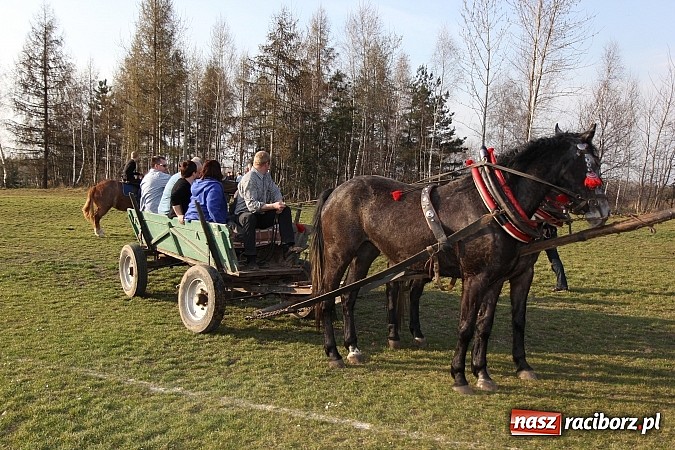 Zdjęcie w galerii na portalu naszraciborz.pl: Poszukiwania wiosny zakończone sukcesem wiadomości z regionu