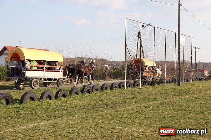 Zdjęcie w galerii na portalu naszraciborz.pl: Poszukiwania wiosny zakończone sukcesem wiadomości z regionu