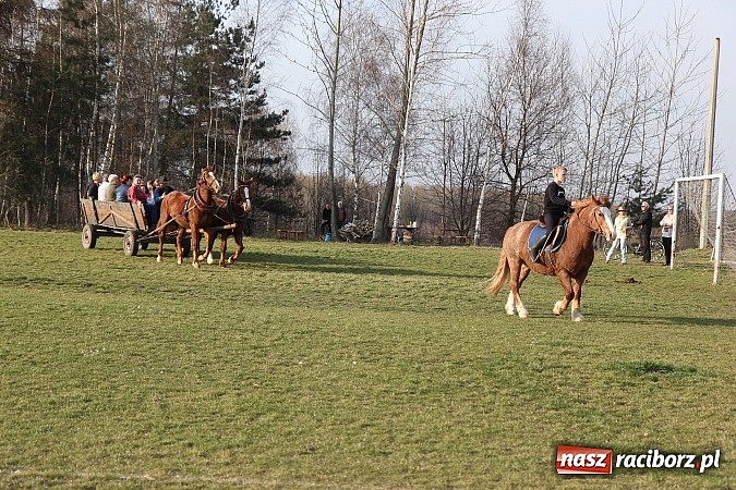 Zdjęcie w galerii na portalu naszraciborz.pl: Poszukiwania wiosny zakończone sukcesem wiadomości z regionu