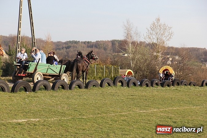 Zdjęcie w galerii na portalu naszraciborz.pl: Poszukiwania wiosny zakończone sukcesem wiadomości z regionu