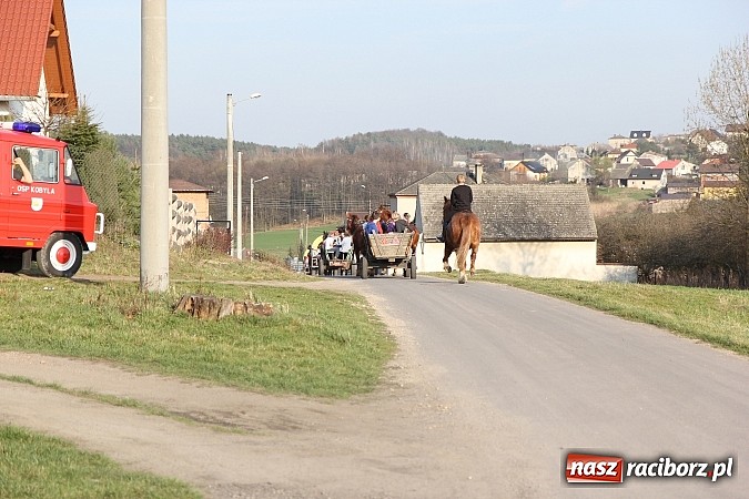Zdjęcie w galerii na portalu naszraciborz.pl: Poszukiwania wiosny zakończone sukcesem wiadomości z regionu