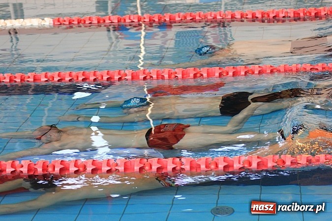 Zdjęcie w galerii na portalu naszraciborz.pl: Pływackie zmagania studentów śląskich uczelni wiadomości z regionu