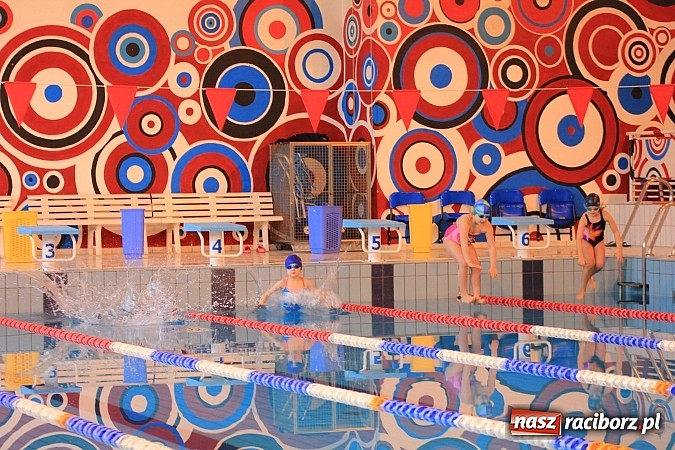 Zdjęcie w galerii na portalu naszraciborz.pl: Pływackie zmagania studentów śląskich uczelni wiadomości z regionu