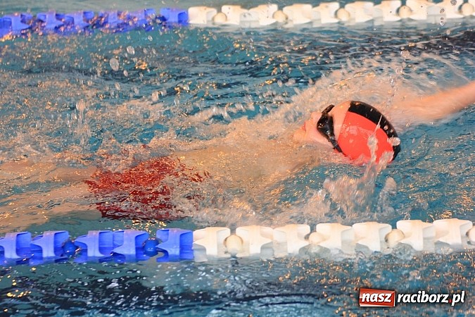 Zdjęcie w galerii na portalu naszraciborz.pl: Pływackie zmagania studentów śląskich uczelni wiadomości z regionu