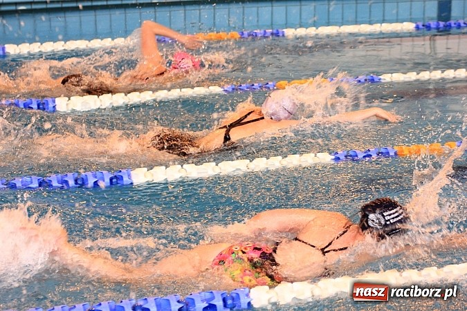 Zdjęcie w galerii na portalu naszraciborz.pl: Pływackie zmagania studentów śląskich uczelni wiadomości z regionu