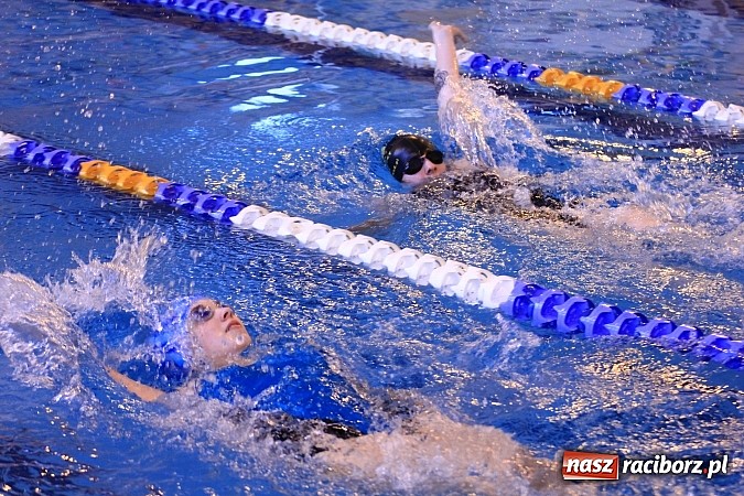 Zdjęcie w galerii na portalu naszraciborz.pl: Pływackie zmagania studentów śląskich uczelni wiadomości z regionu