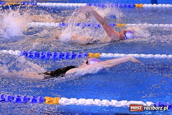 Zdjęcie w galerii na portalu naszraciborz.pl: Pływackie zmagania studentów śląskich uczelni wiadomości z regionu