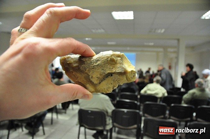 Zdjęcie w galerii na portalu naszraciborz.pl: Odkrycia w Kornicach. Na tropie tajemniczych koczowników  wiadomości z regionu