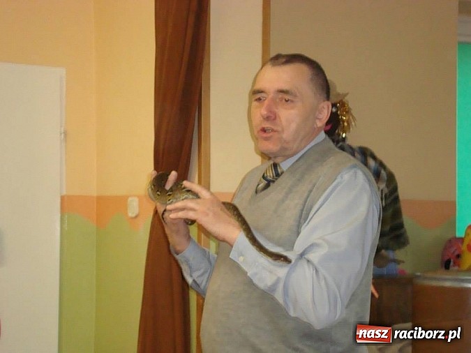 Zdjęcie w galerii na portalu naszraciborz.pl: Andrzej Pająk pokazywał swoje pająki wiadomości z regionu