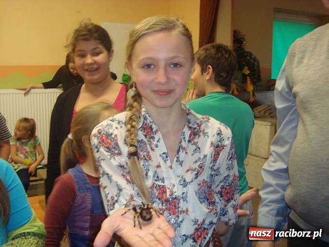 Zdjęcie w galerii na portalu naszraciborz.pl: Andrzej Pająk pokazywał swoje pająki wiadomości z regionu