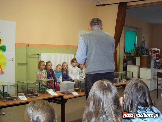 Zdjęcie w galerii na portalu naszraciborz.pl: Andrzej Pająk pokazywał swoje pająki wiadomości z regionu