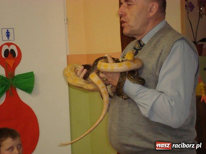 Zdjęcie w galerii na portalu naszraciborz.pl: Andrzej Pająk pokazywał swoje pająki wiadomości z regionu