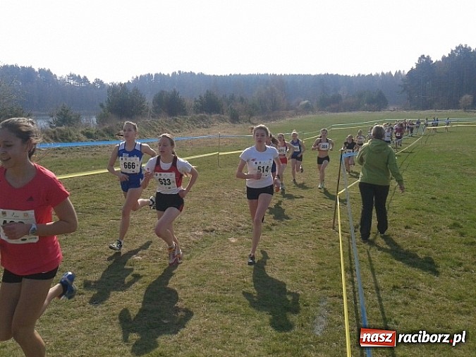 Zdjęcie w galerii na portalu naszraciborz.pl: Biegi przełajowe. Ania Szyjka na podium  wiadomości z regionu