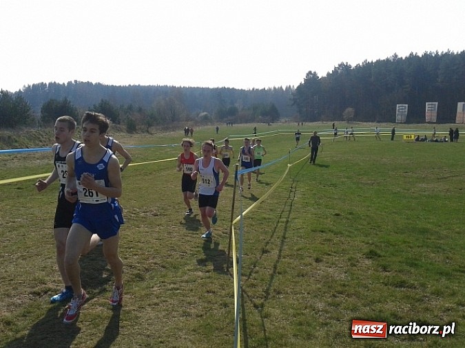 Zdjęcie w galerii na portalu naszraciborz.pl: Biegi przełajowe. Ania Szyjka na podium  wiadomości z regionu